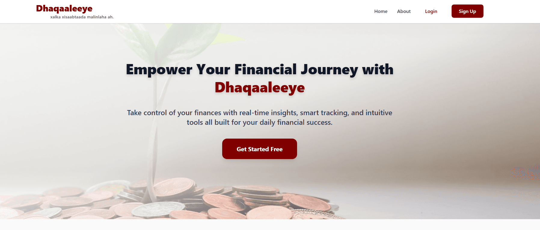 Dhaqaaleeye Expense Tracker